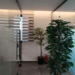 WhatsApp Image 2025-10-04 at 10.29.24 AM (1)